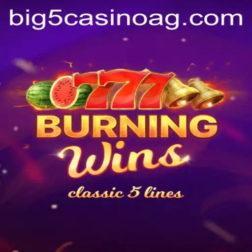 Experience the Classic Thrills of BurningWins on 669.bet